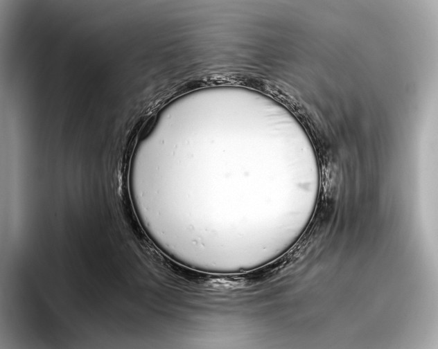 X0000096650703200802261321