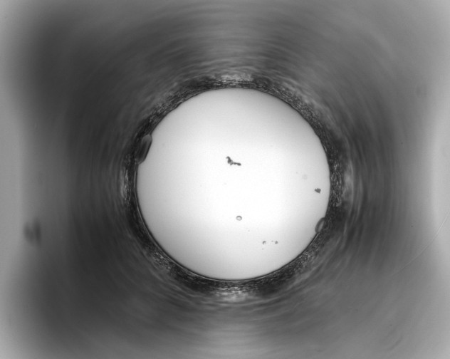 X0000096650704200802261321