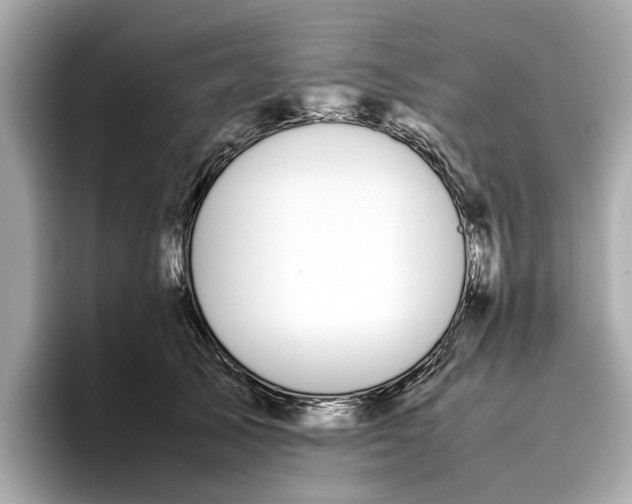 X0000096650705200802261321