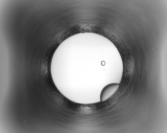 X0000096650706200802261320