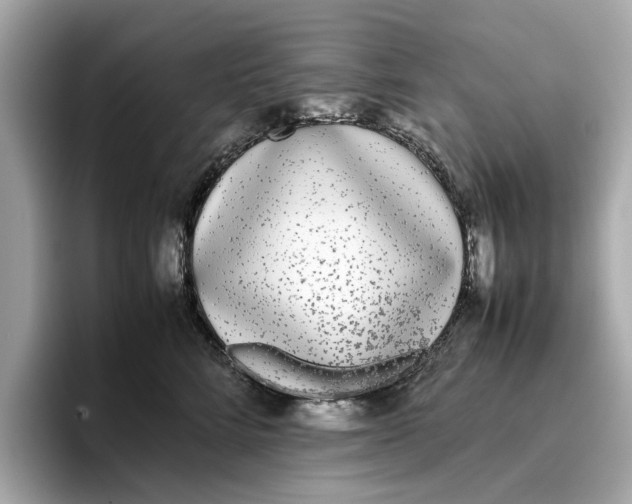 X0000096650712200802261320