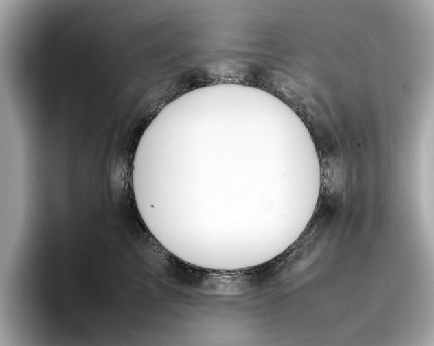 X0000096650713200802261320