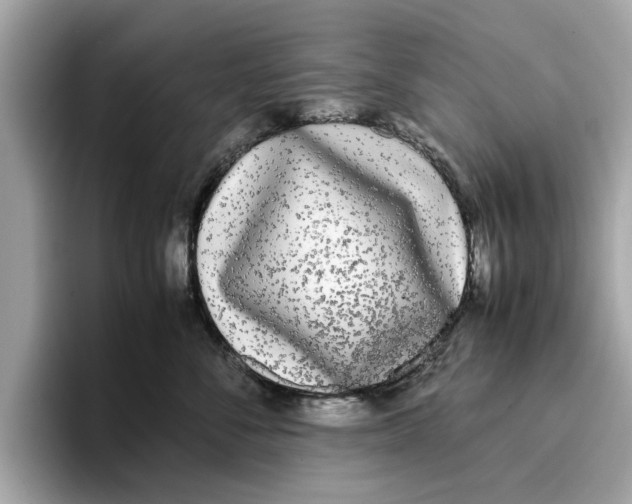 X0000096650716200802261320