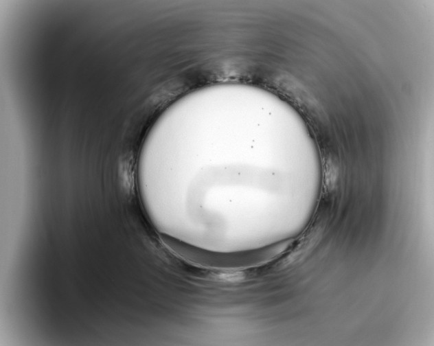 X0000096650719200802261320