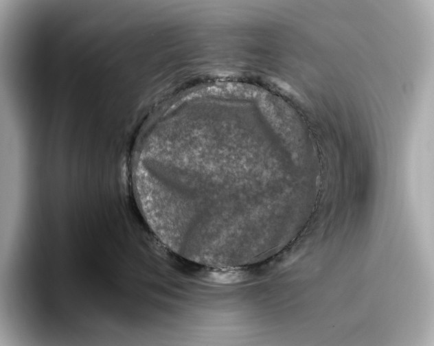 X0000096650720200802261320