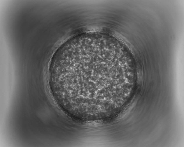 X0000096650721200802261320