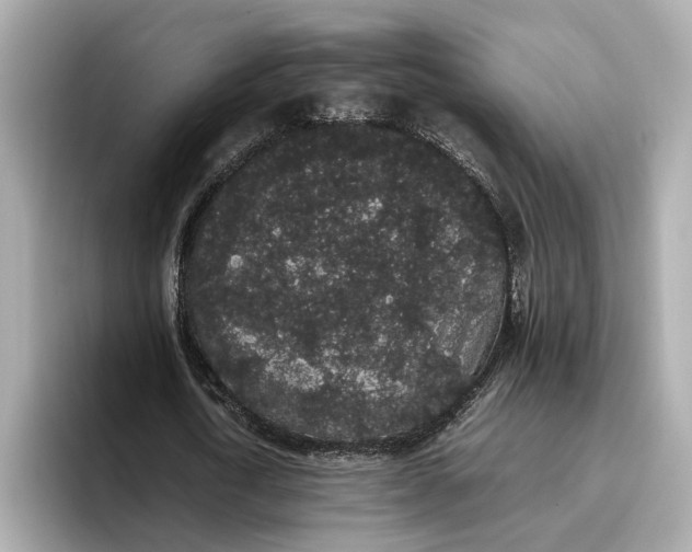 X0000096650722200802261320