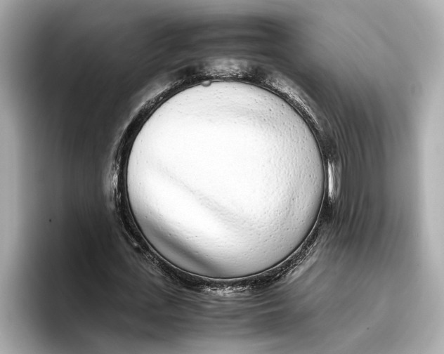 X0000096650723200802261320