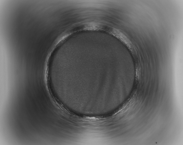 X0000096650724200802261320