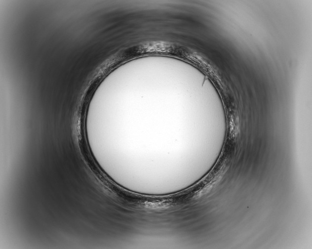 X0000096650725200802261320