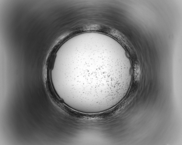 X0000096650726200802261320