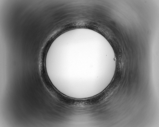 X0000096650728200802261320