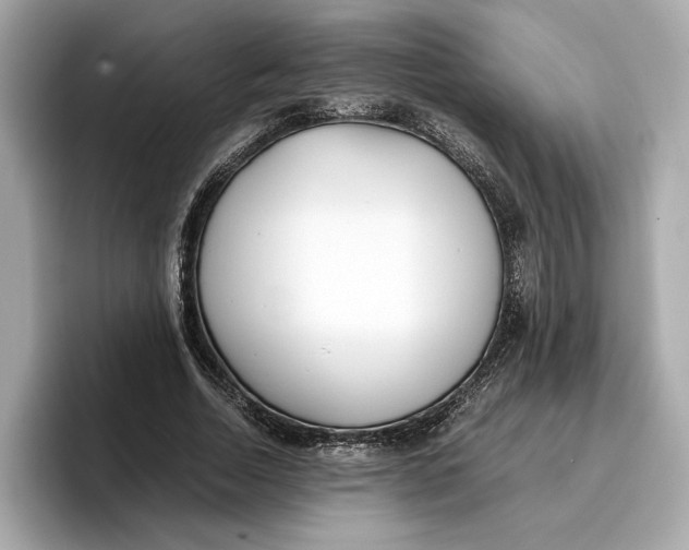 X0000096650730200802261320