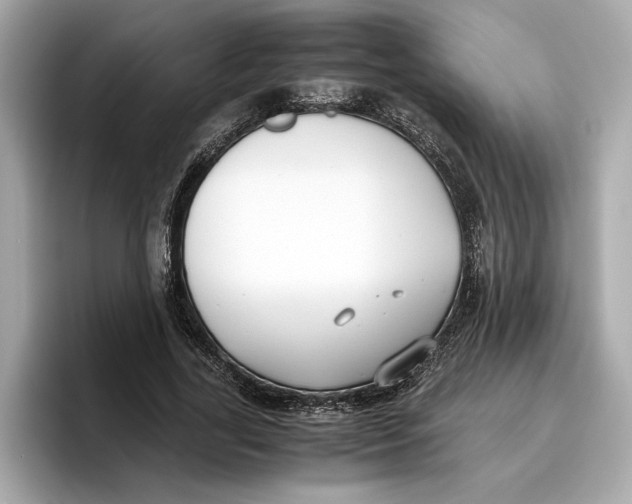 X0000096650731200802261320