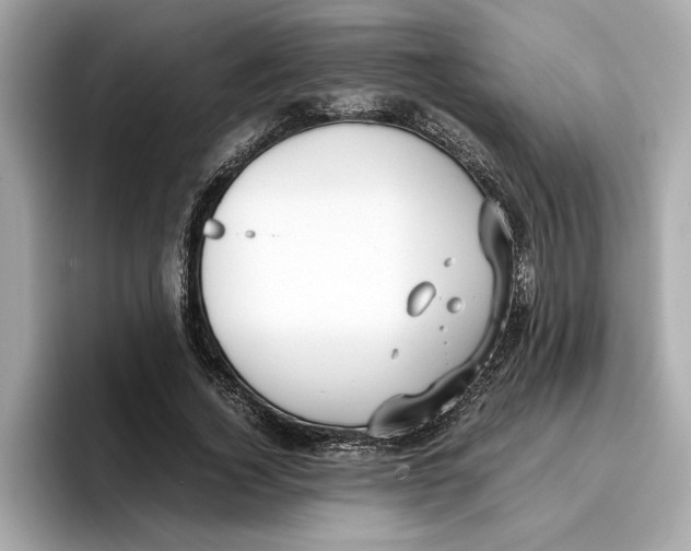 X0000096650732200802261320