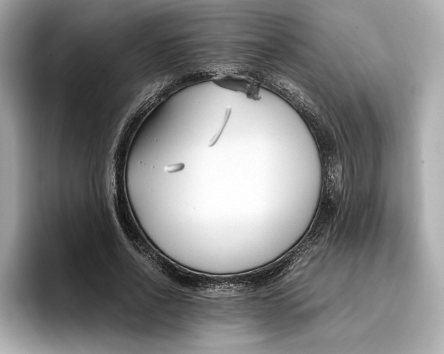 X0000096650734200802261320