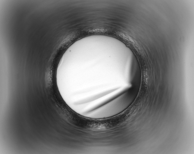 X0000096650735200802261320