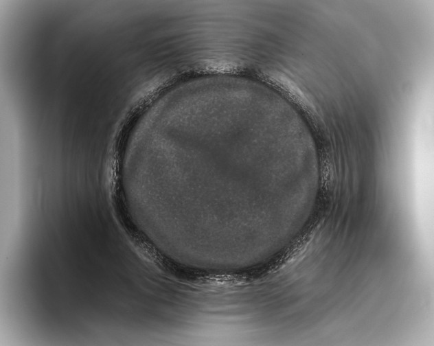 X0000096650736200802261320