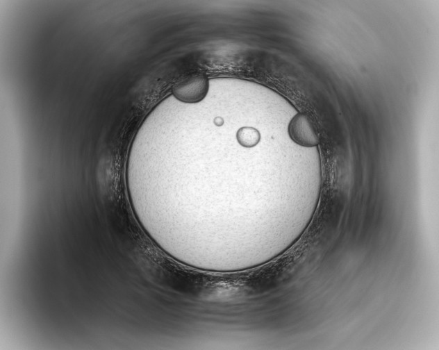 X0000096650737200802261320