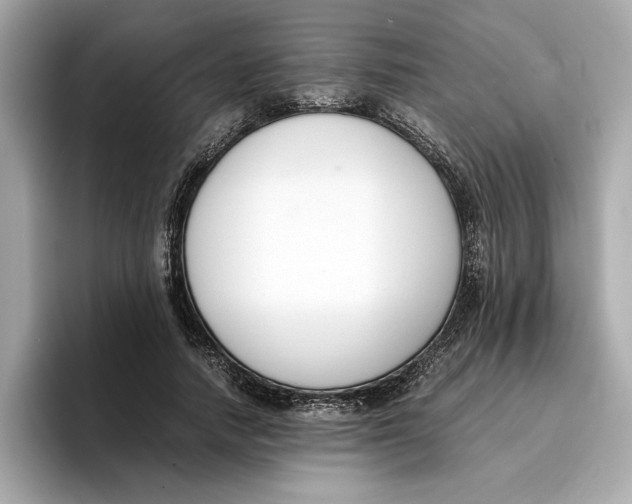 X0000096650738200802261320