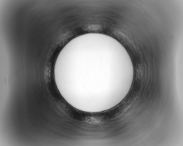 X0000096650739200802261320