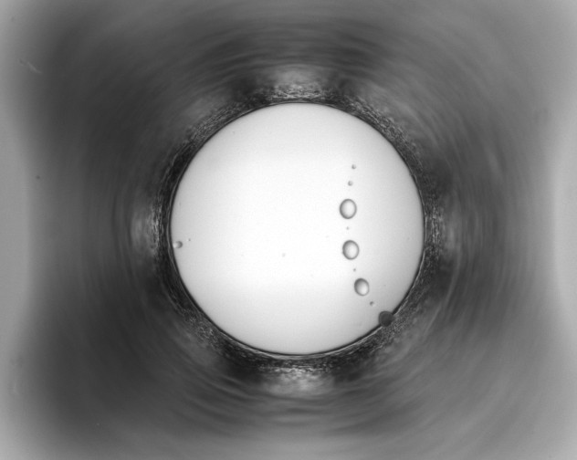 X0000096650741200802261320