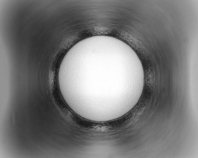 X0000096650742200802261320