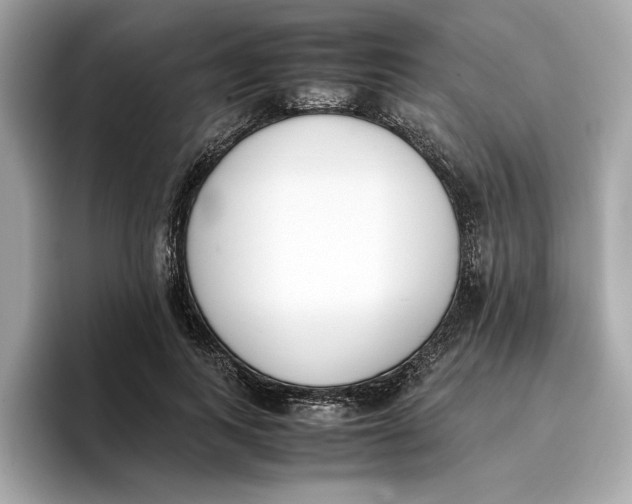 X0000096650743200802261320