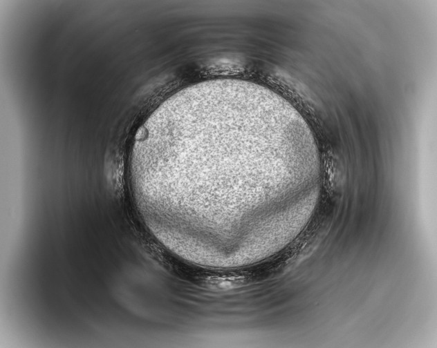 X0000096650745200802261320