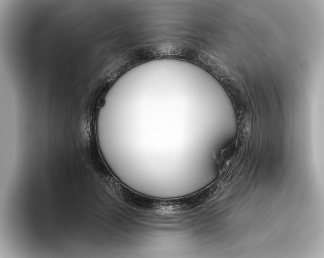 X0000096650746200802261320