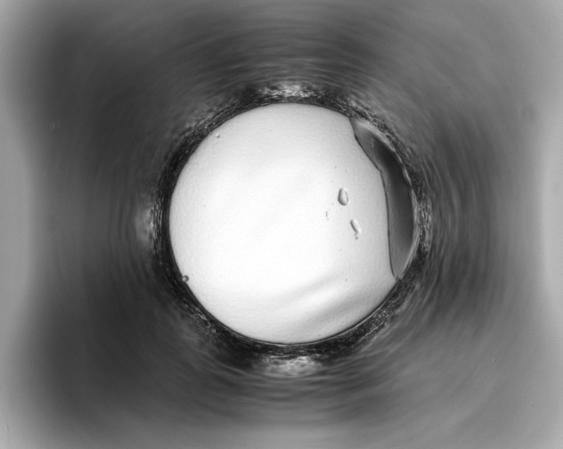 X0000096650747200802261320