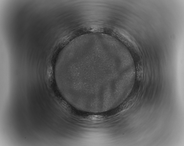 X0000096650748200802261320