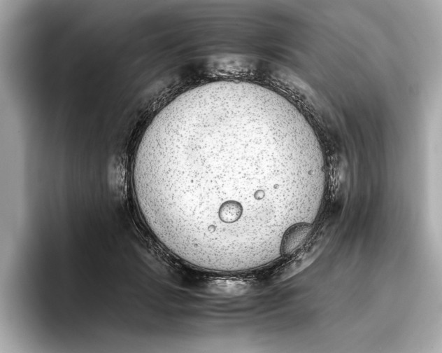 X0000096650749200802261320