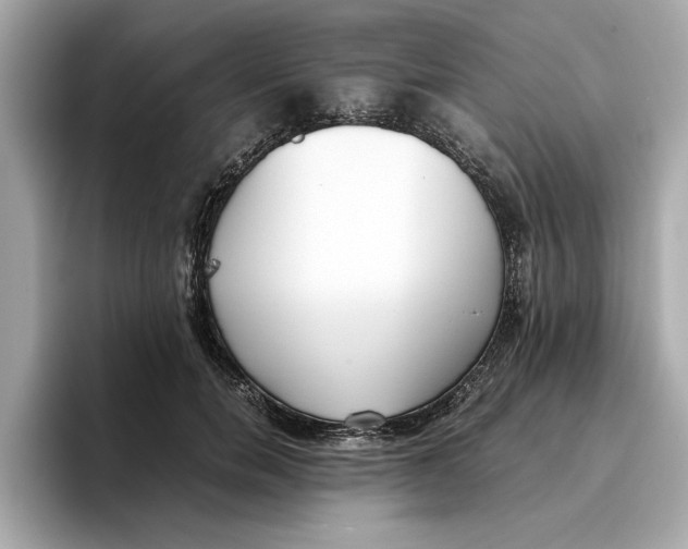 X0000096650750200802261320