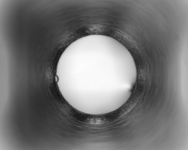 X0000096650751200802261320