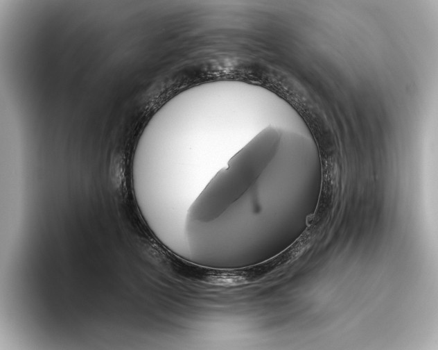 X0000096650754200802261320