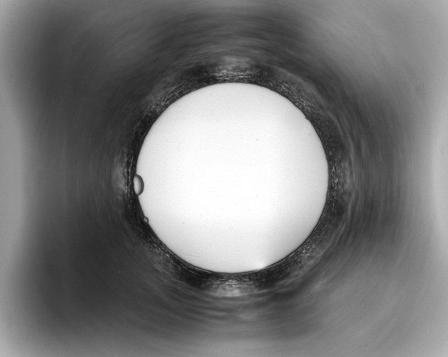 X0000096650755200802261320