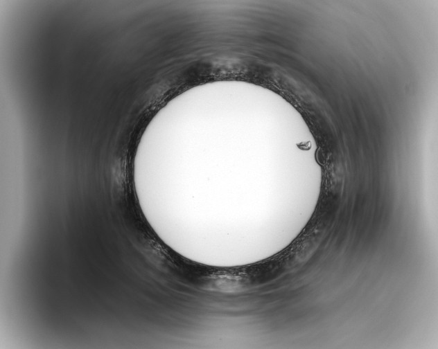 X0000096650756200802261320