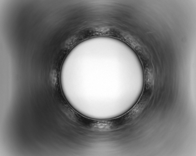 X0000096650758200802261320