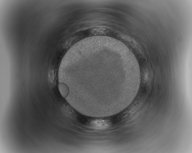 X0000096650759200802261320