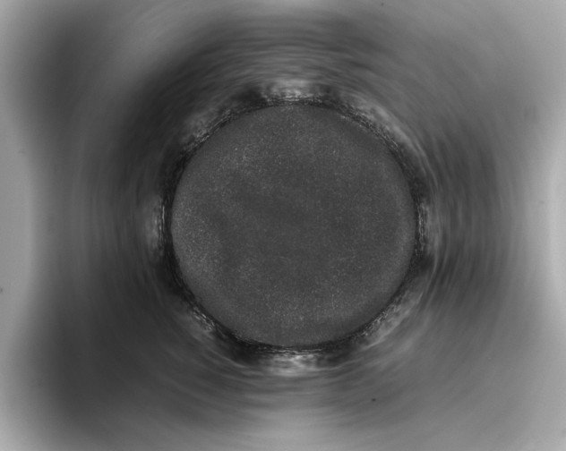 X0000096650760200802261320