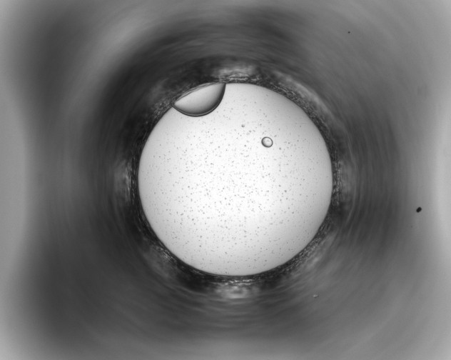 X0000096650761200802261320