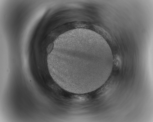 X0000096650763200802261320