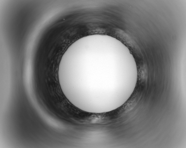 X0000096650764200802261320