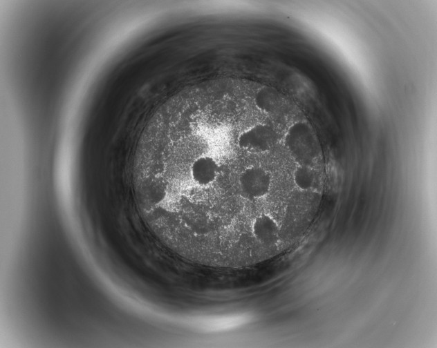 X0000096650765200802261320