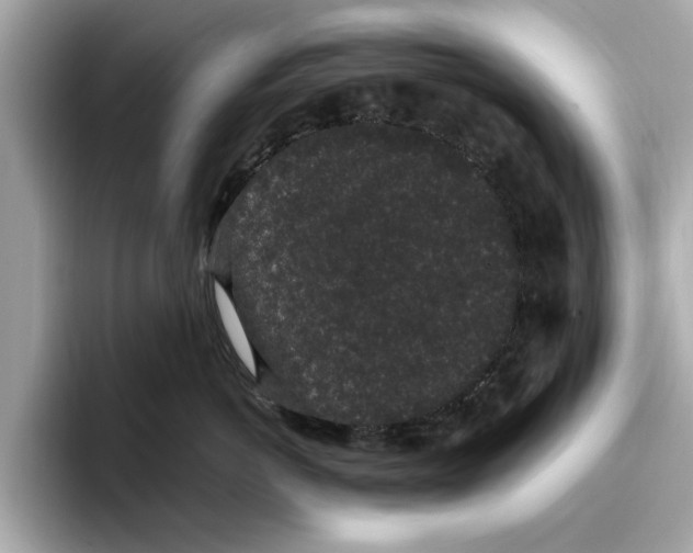 X0000096650766200802261320