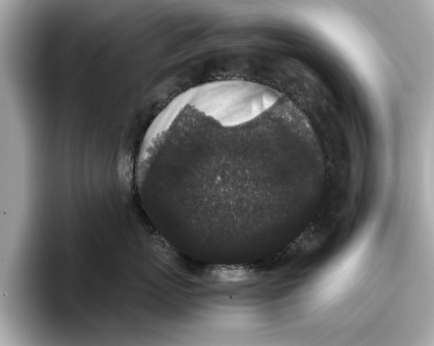 X0000096650767200802261320