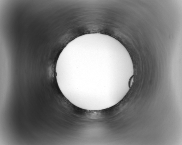 X0000096650768200802261320