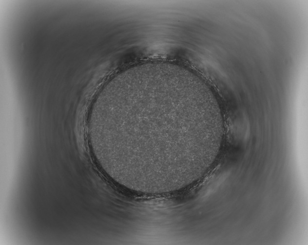 X0000096650769200802261320