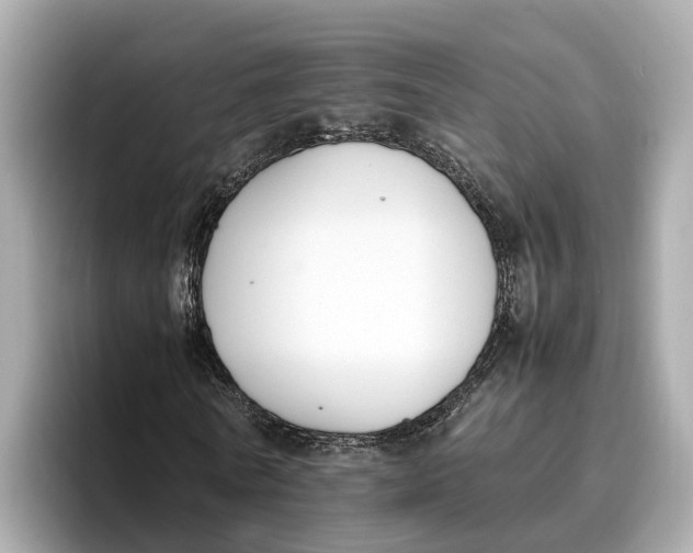 X0000096650770200802261320